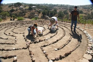 people maintaining the labyrinth in the vineyards