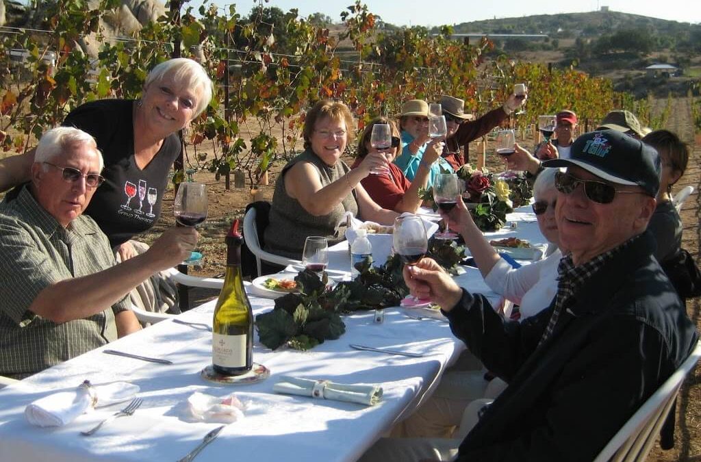 Wine drinkers in the enjoying wine in the vineyard together