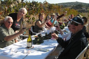 Wine drinkers in the enjoying wine in the vineyard together