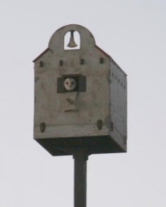 Our Owl Box