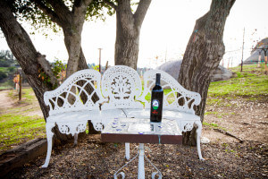 The bench in the vineyard with a bottle of wine on the table
