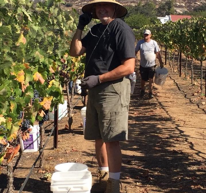 Jan 16 – Prepruning Workshop